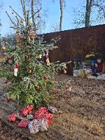 Vánoce v Lesním divadle Křenovice